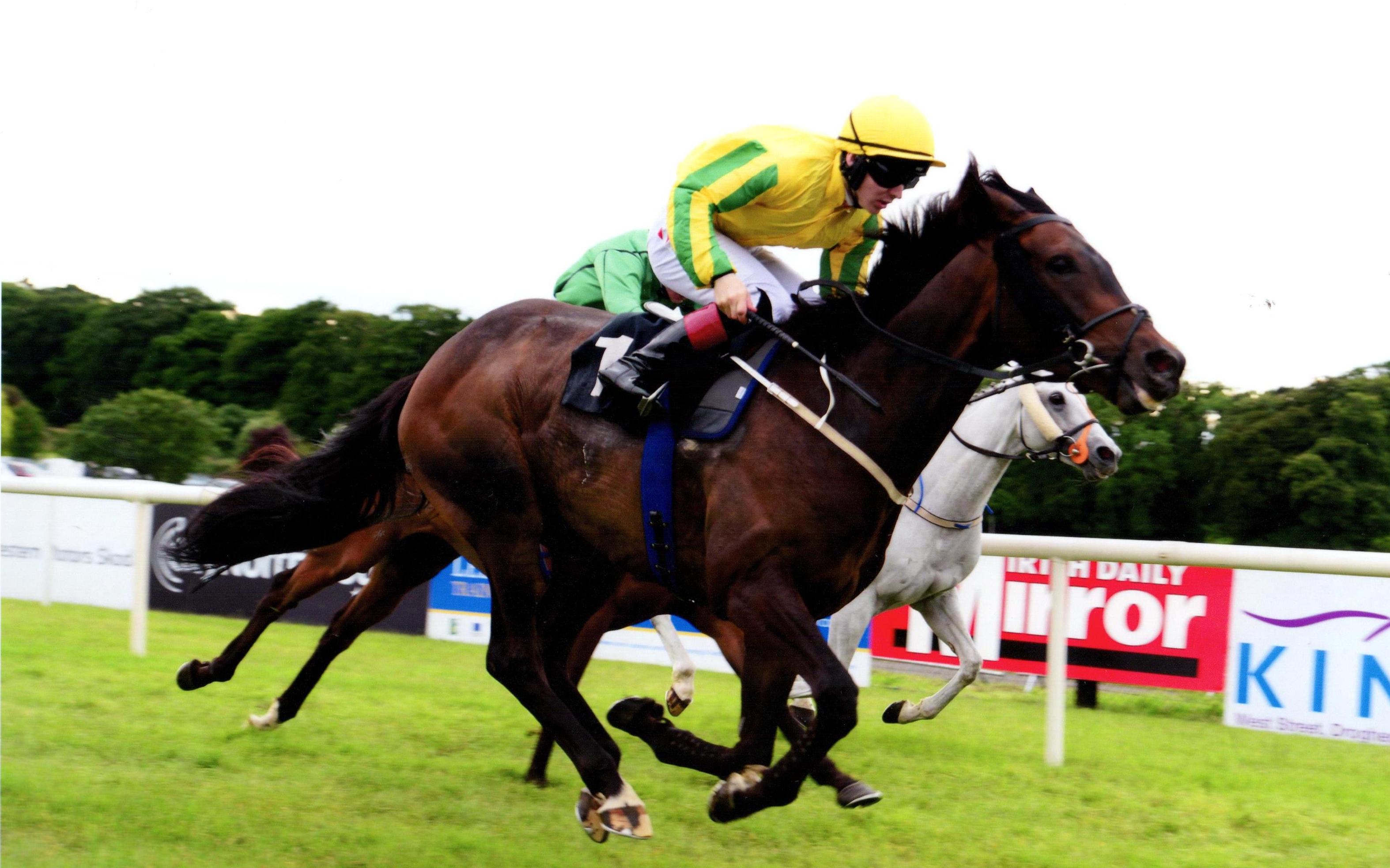 SONG OF NAMIBIA provides connections with another win at Bellewstown 6th July 2017
